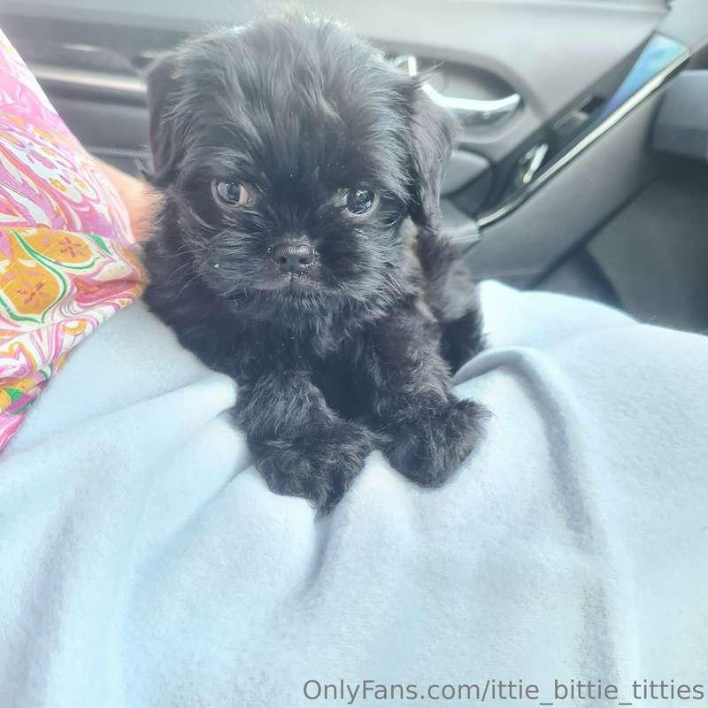 Incase your wondering if you all have to contend with a gorg..