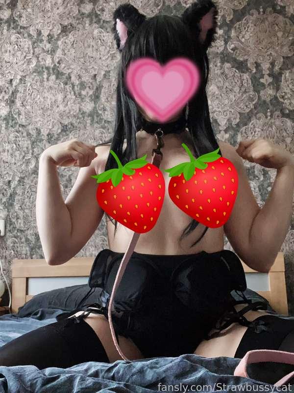 strawbussycat image #0