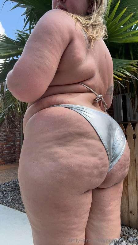 poptartbelly image #0