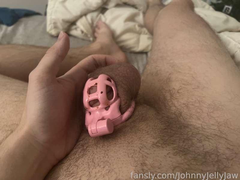 johnnyjellyjaw image #0