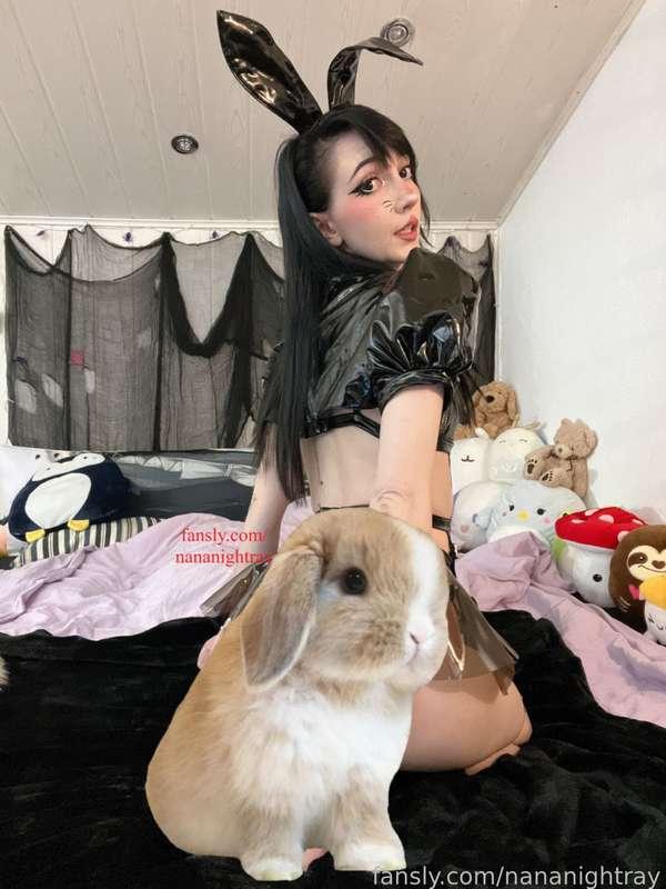 *🐰 hops onto bed* can I get some head pats? 🥺💕

#bunny #cosplay #cosplaygirl #cutegirl #cute #butt #booty #ass #nerdy #petite #tease #egirl #fyp