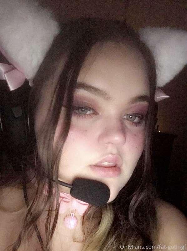 I need cat ears and a collar that actually fits my hair now ..