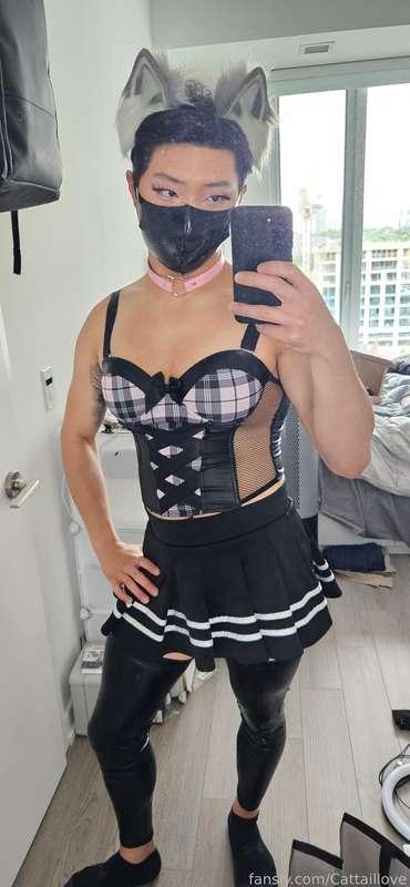 cattaillove image #1