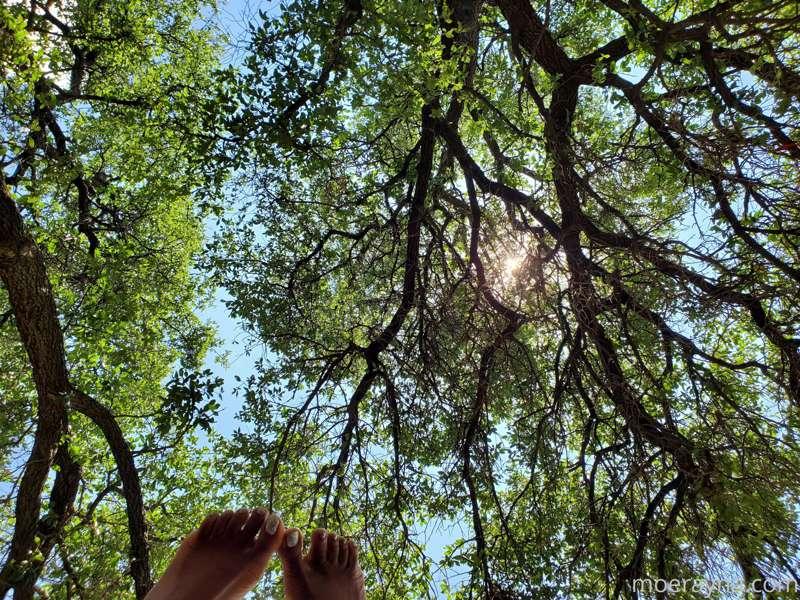 Happy Friday y'all! Here's some feet pics and a clip from th..