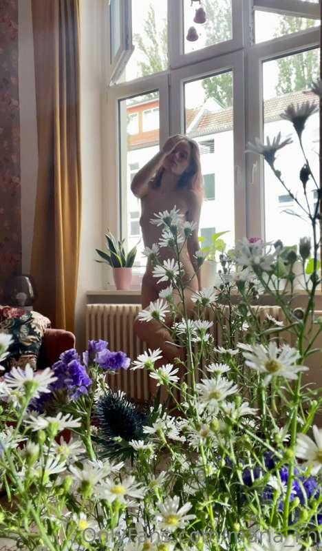 🌷🌺🌻