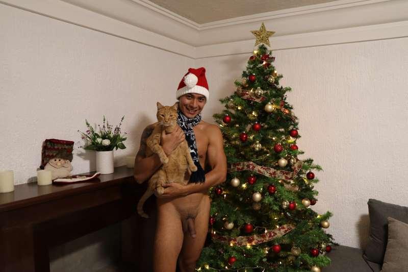 Christmas tree is up, nudist style of course!