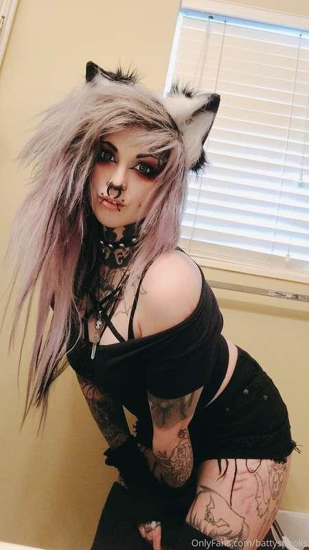 battyspooks image #1