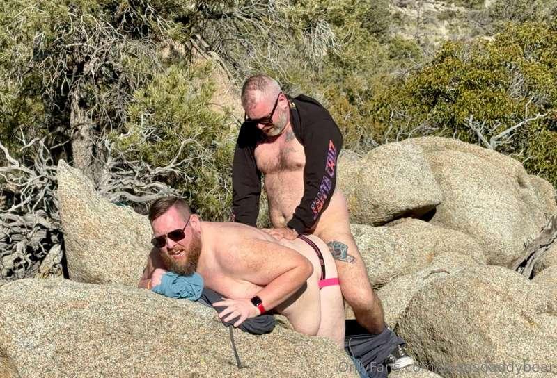 vegasdaddybear image #0