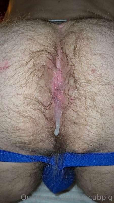dadcubpig image #0