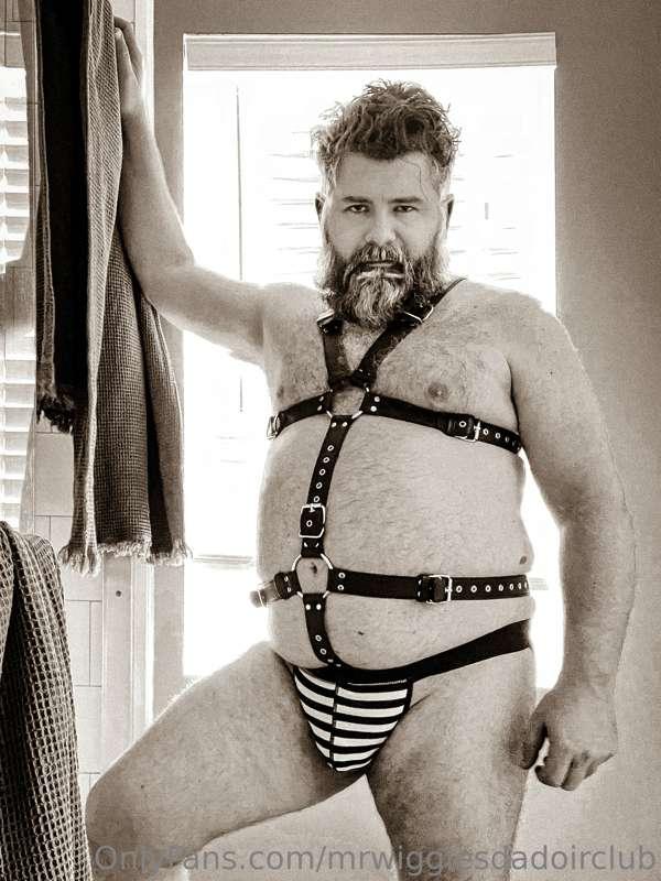 Does this harness make me look gay?
This is my first harness..