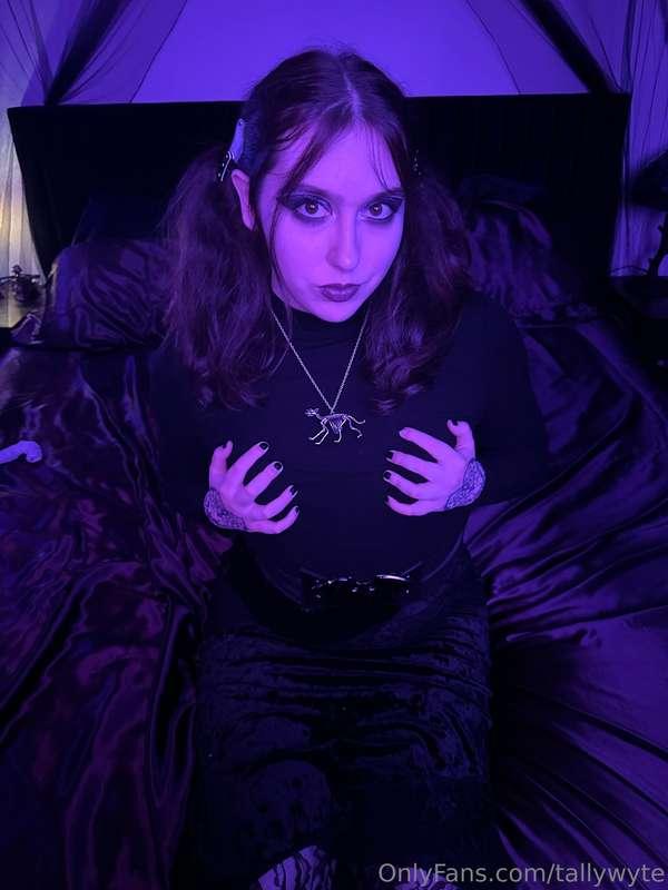 tallywyte image #6