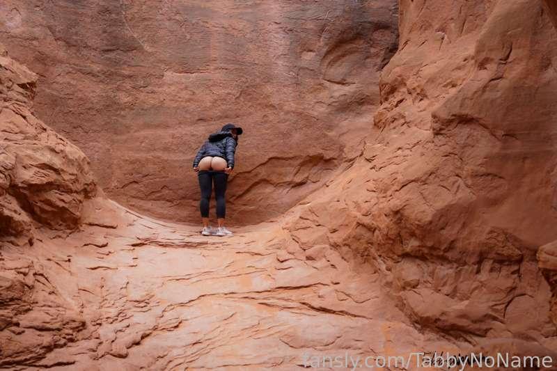 tabbynoname image #4