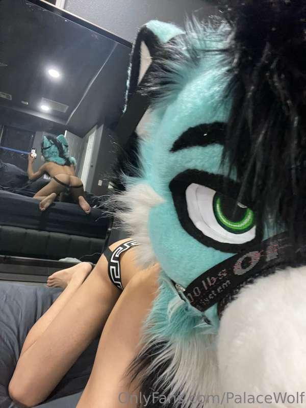 Hi everyone! 

First off I just want to say thank you all so..