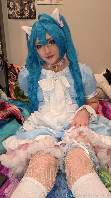 catboyzion image #5