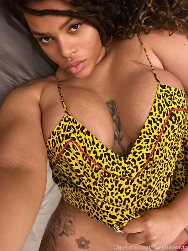 Spotted: a lazy leopard looking for some trouble 🐅😽✨ You vol..