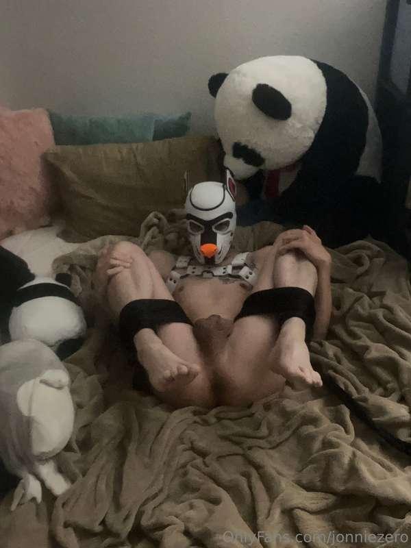 jonniezero image #10