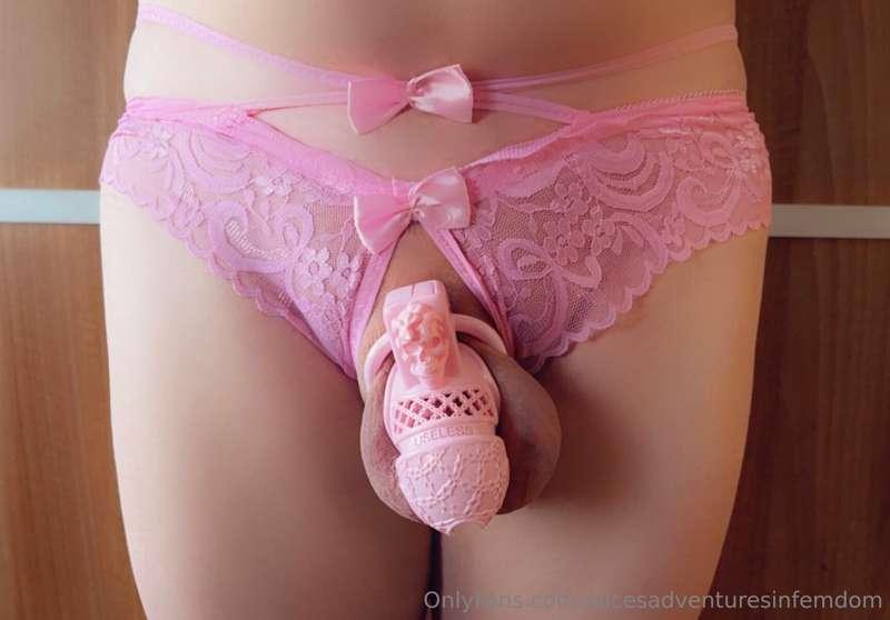 alicesadventuresinfemdom image #1