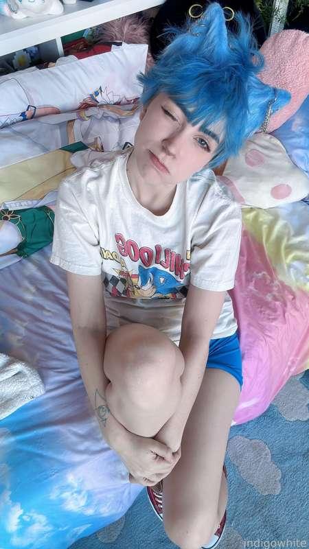 indigowhite image #104