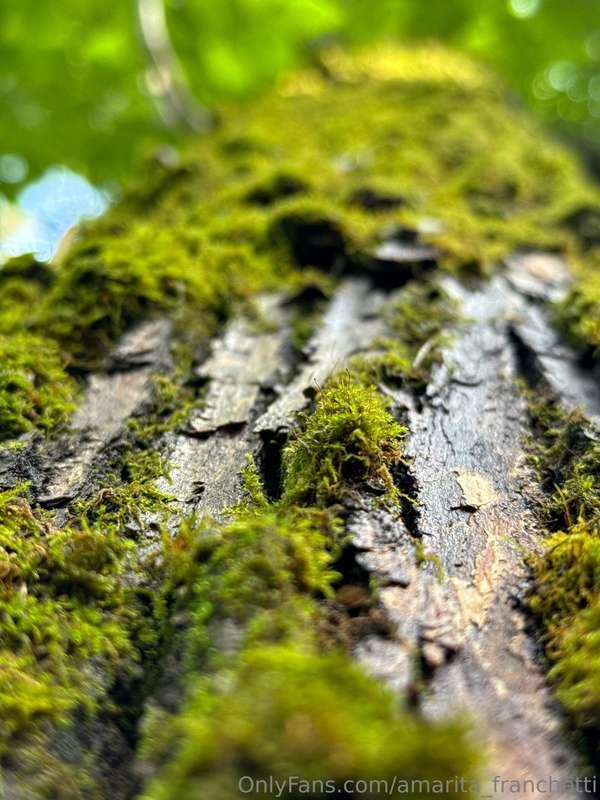 amarita_franchetti image #6