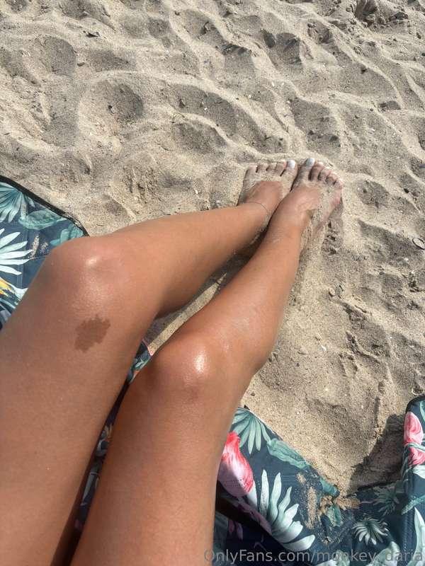 monkey_daria image #1