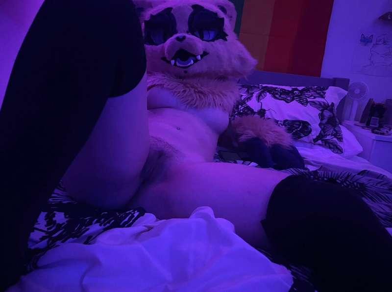 gonna get some more photos/videos this weekend, any requests..