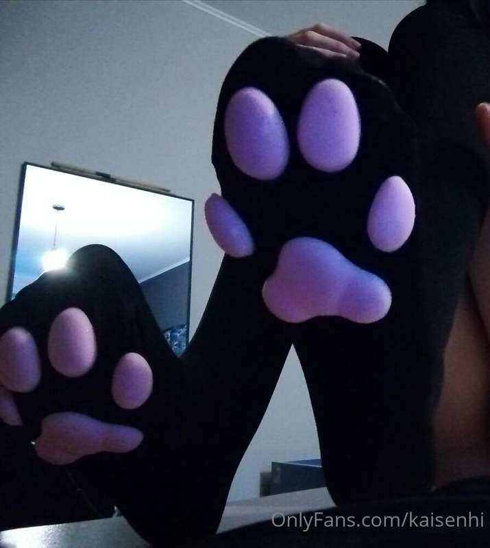 cat stockings are very cute <3