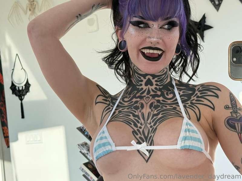 lavender_daydream image #0