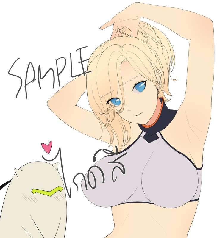 SAMPLE ไกด์สี