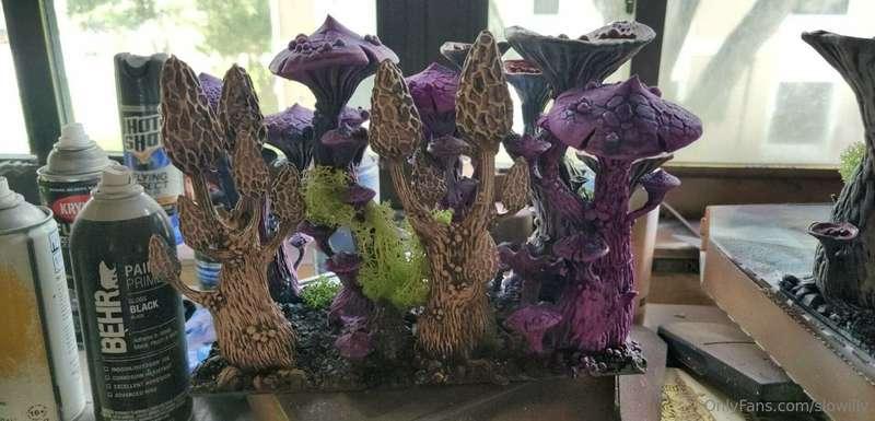 My mushroom, and not just the tip, they do have a little fuz..