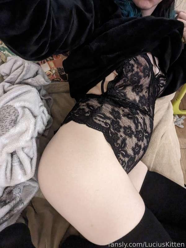 luciuskitten image #6