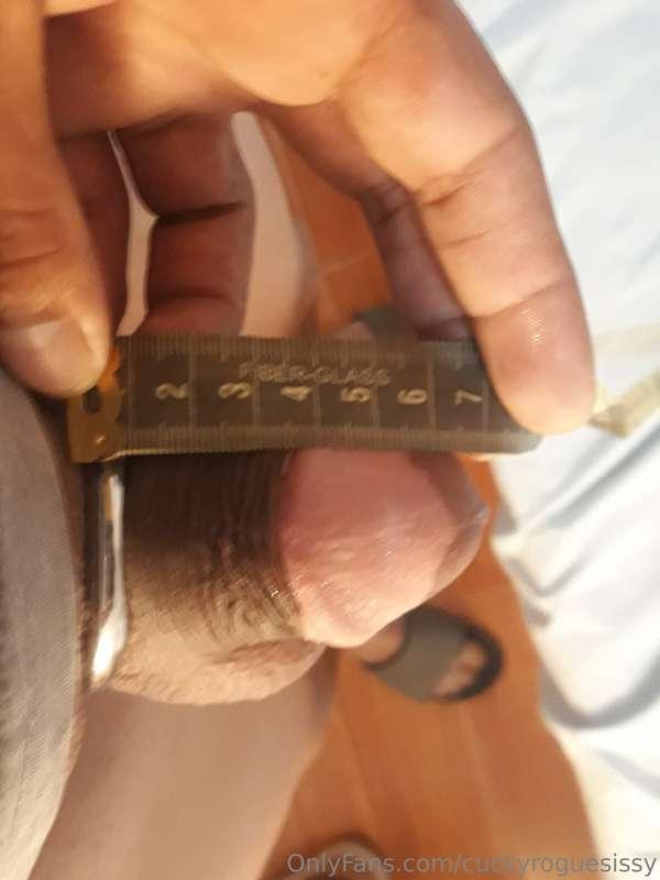 cuckyroguesissy image #8