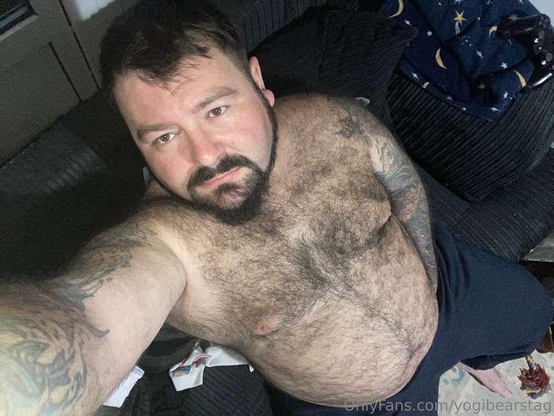 yogibearstag image #0