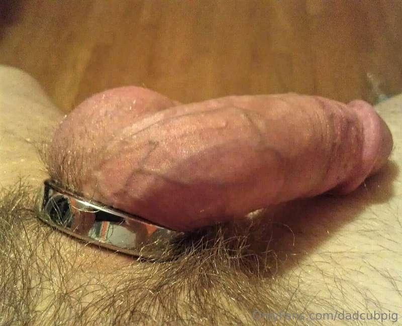 dadcubpig image #1