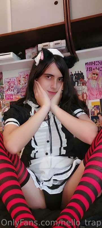 hello_trap image #3