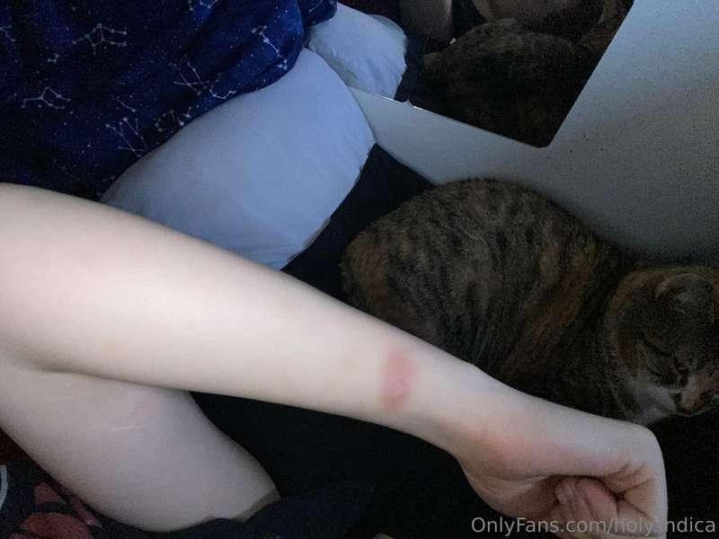 holy.indica image #0