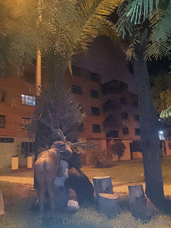 Chupandosela a un venado en la noche 😆