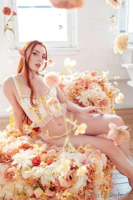 claruspolaris image #1