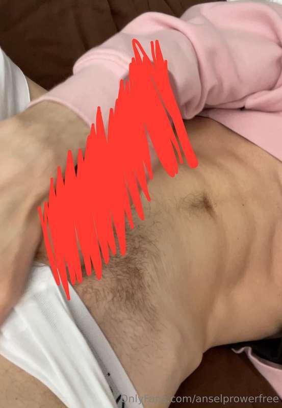 anselprowerfree image #0