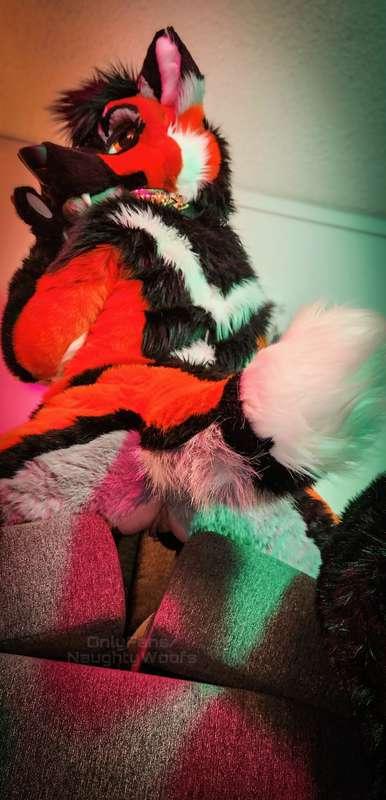 naughtywoofs image #0