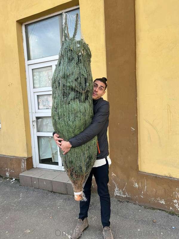 Oh also - remember how I said I wanted to get a little tree ..
