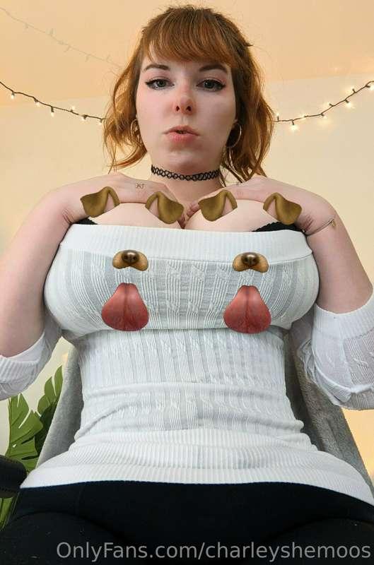 charleyshemoos image #0