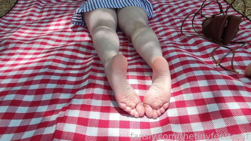 thetinyfeettreat image #3