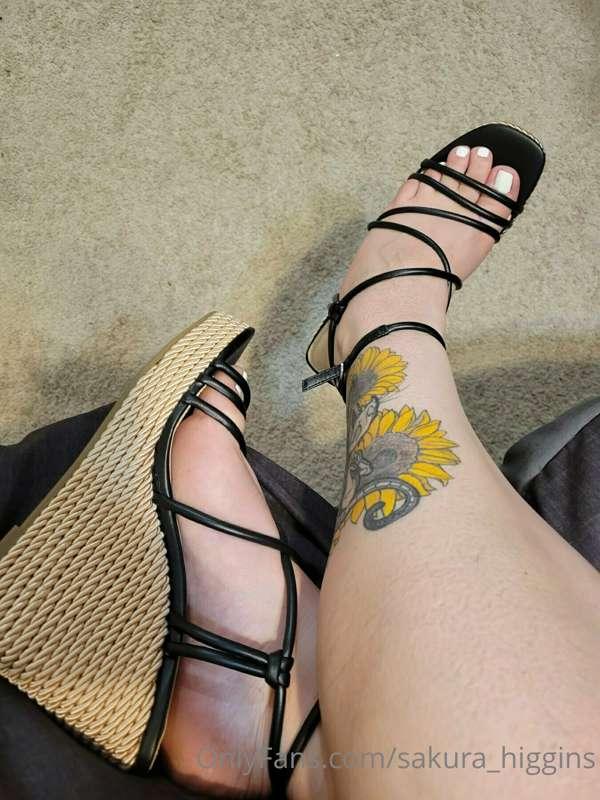 Hey guys, sorry I haven't been posting for the past  few day..