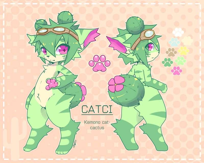 Catci