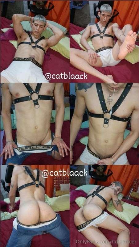 🇦🇷EXCLUSIVE CONTENT🇦🇷 🔥 FREE ACCOUNT: @cashcatblack 🐈‍⬛️ 🐾🐾💸..