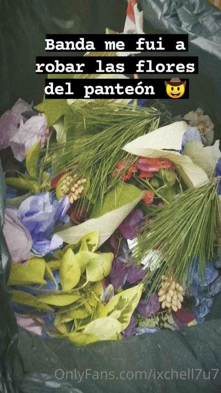 👀 Osi osi