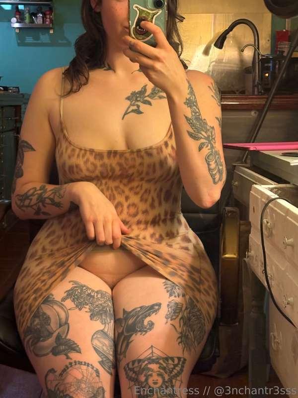 catsncake image #0