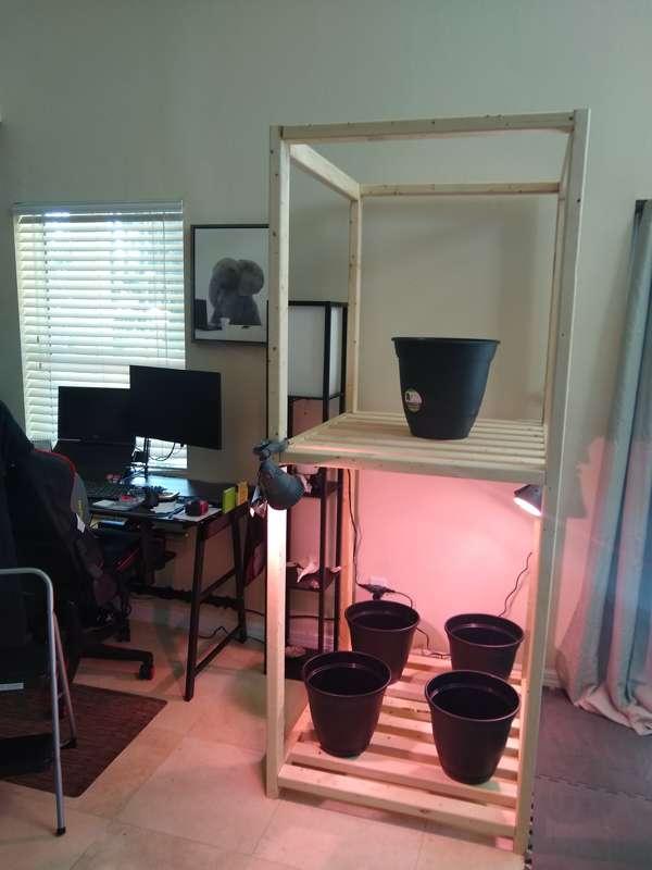 Built a little grow shelf to grow some delicious vegetables ..