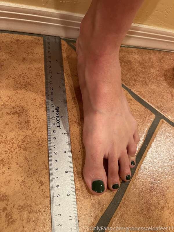 goddesszeldafeet11 image #0