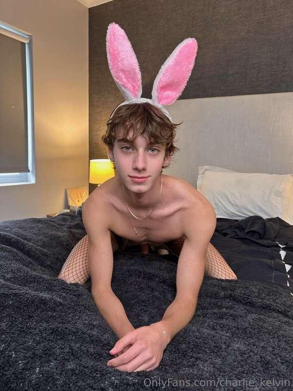 Let me be your playbunny 🐰 💓